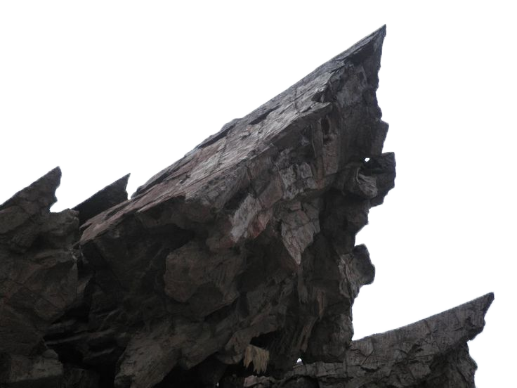 IMAGE UNAVAILABLE YOU FOOL